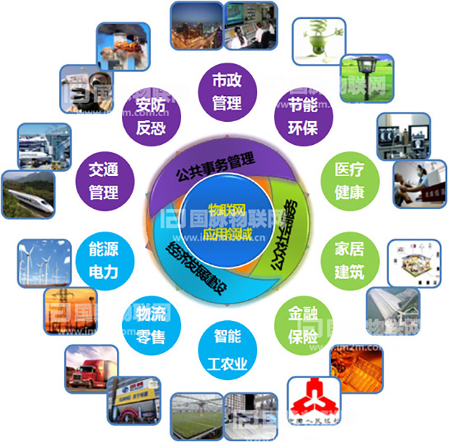 杨冰之：重视物联网在关键产业的应用